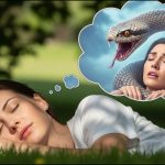 Dream of Snake: Mystical Signs from the Shadow World
